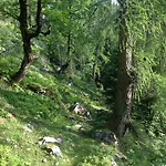 Alte Zimmerei