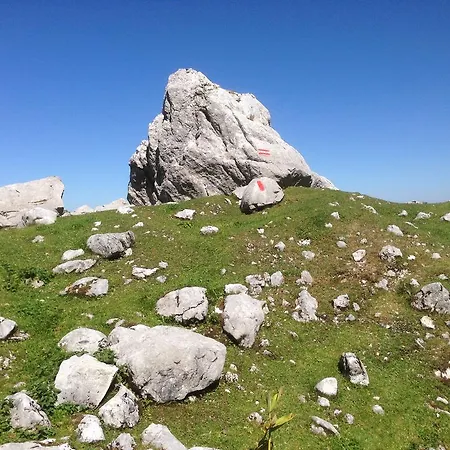 Lejlighed Alte Zimmerei - *